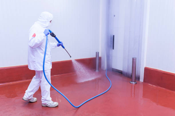 Boat and Dock Cleaning in Weirton, WV